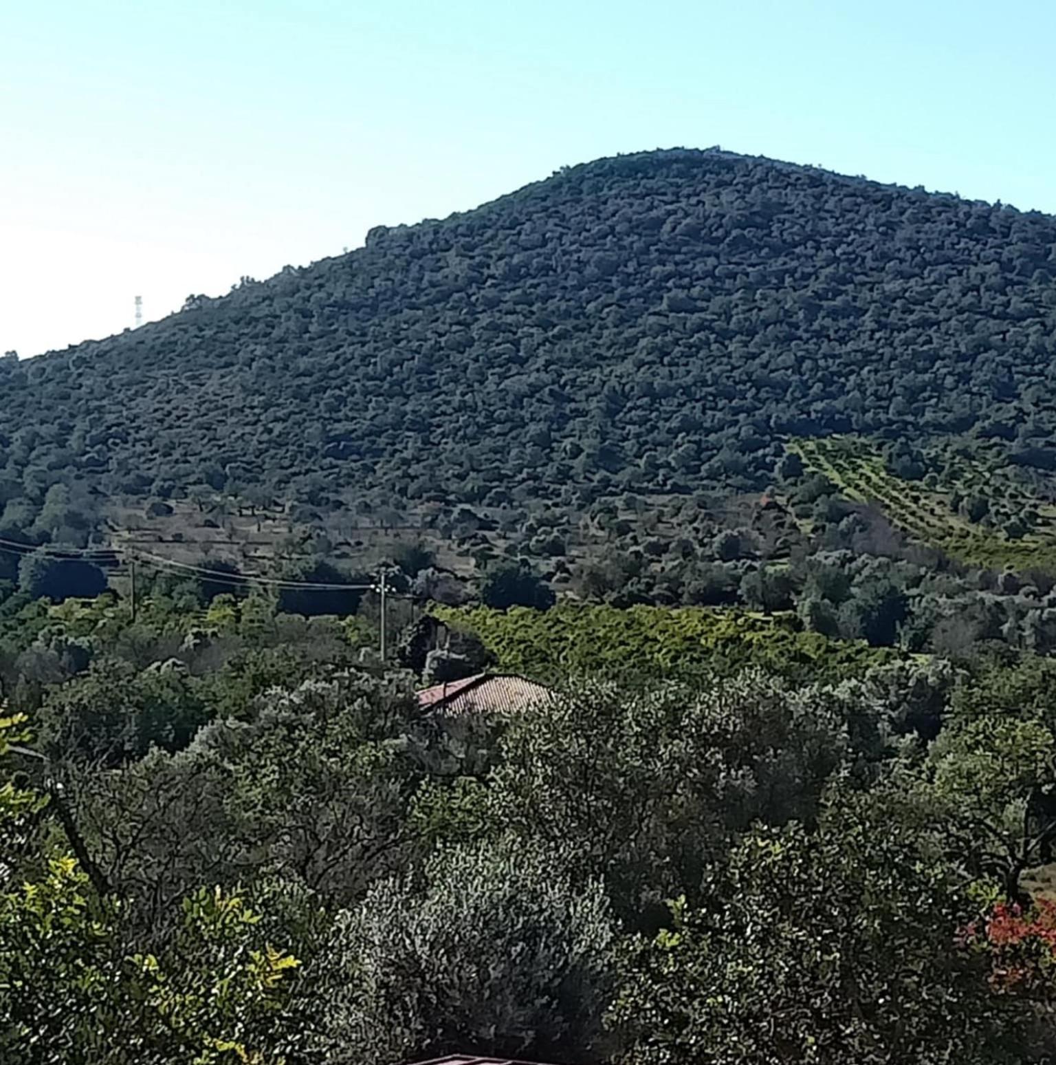 B&B Casa Flamenga Alte Bagian luar foto